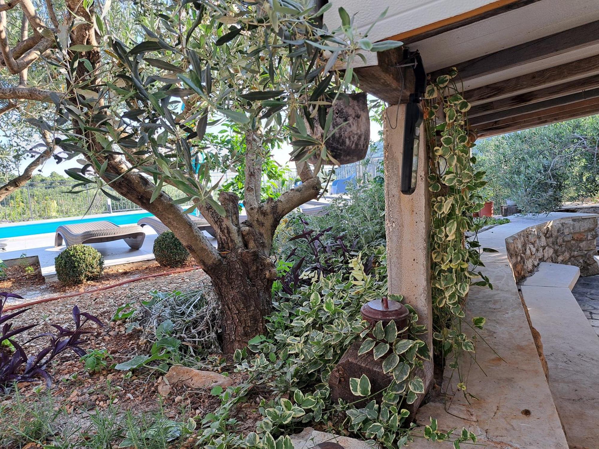 Villa Casa Mia Gornji Seget Exterior foto